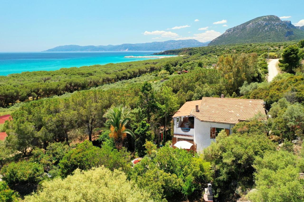 Casa Vacanze Osala Orosei Eksteriør billede